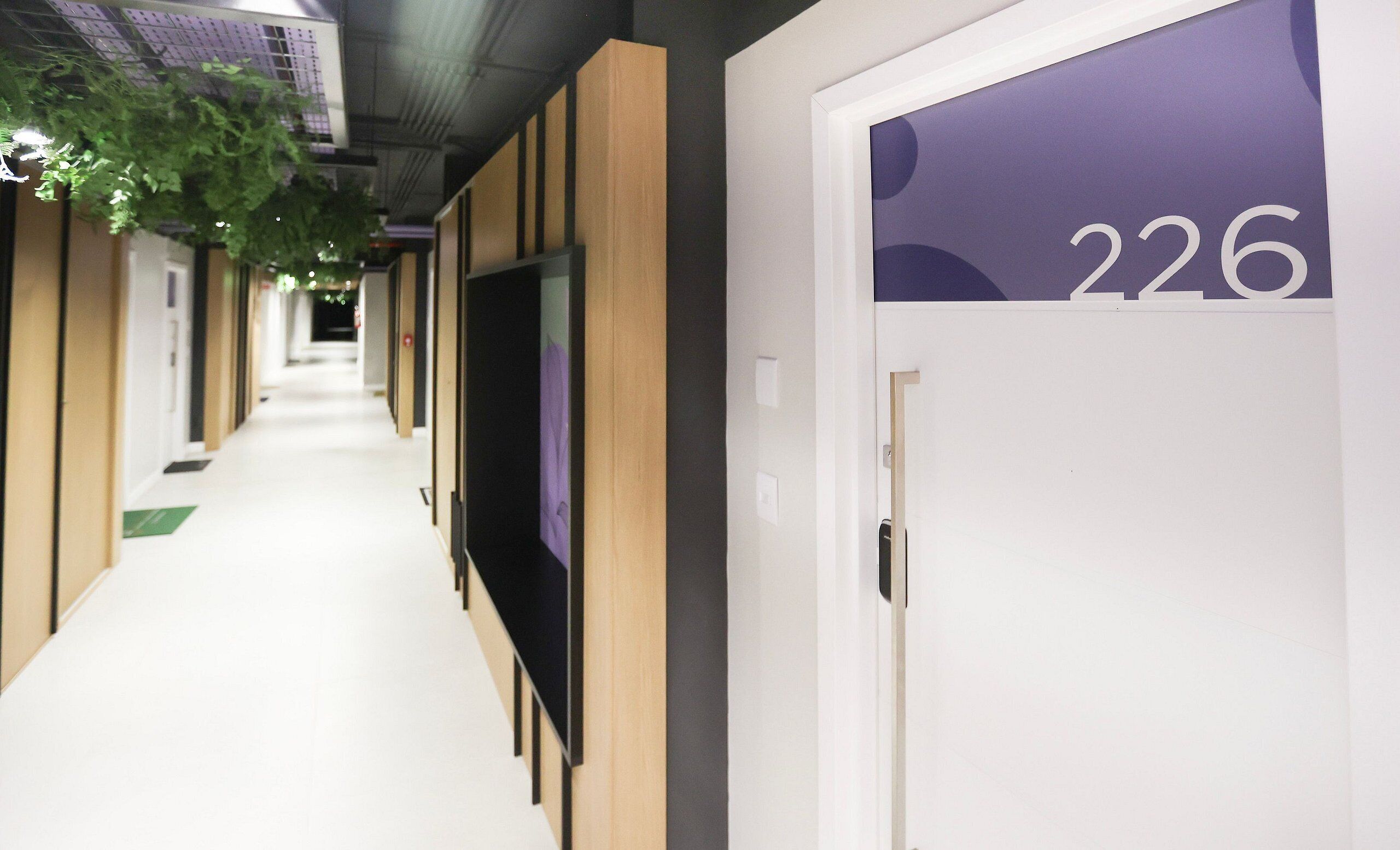 A hallway with a door labeled 226, a green sign on the floor, and a hanging plant.