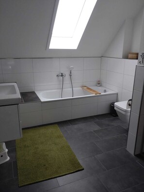 Shower, hair dryer