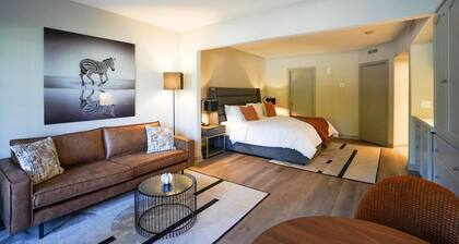 Modern, fully renovated Studio!