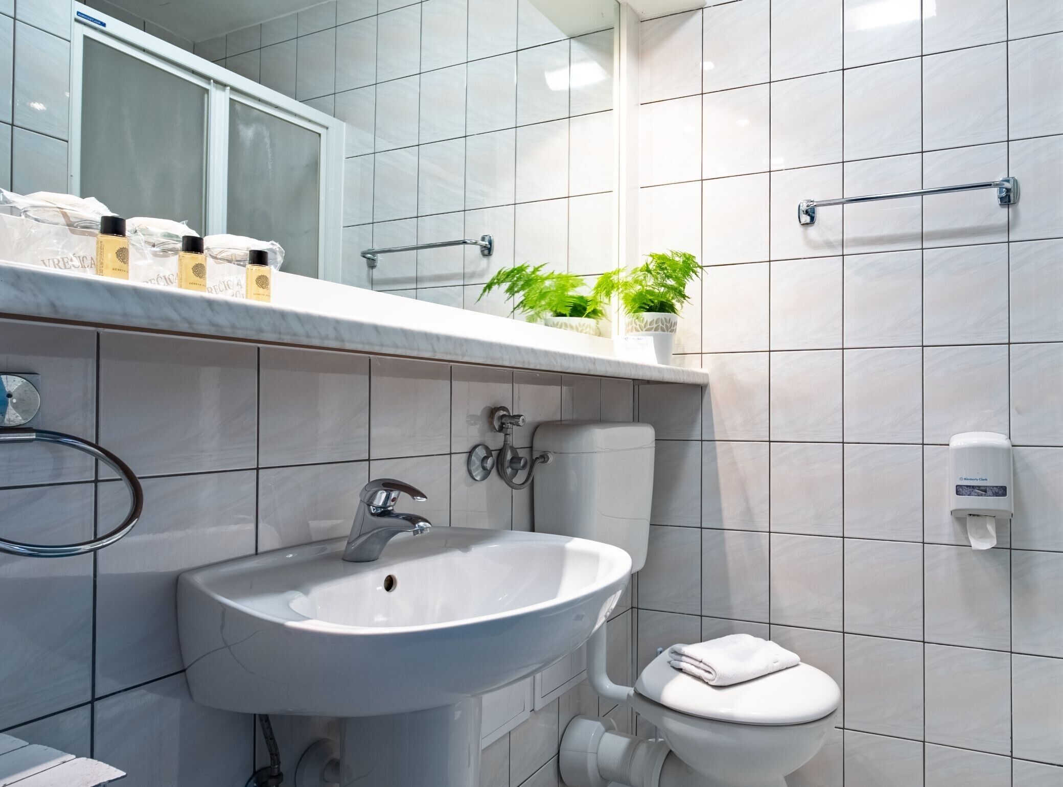 A modern bathroom with a white sink, toilet, and a towel rack. There are toiletries on the shelf and a potted plant.