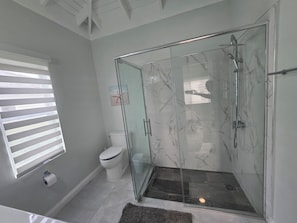 Shower, towels, soap, toilet paper