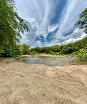 A riverbank with a sandy shore, dense greenery, and a partly cloudy sky.