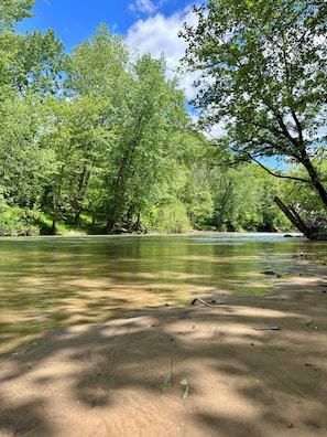 A riverbank with clear water, surrounded by dense green foliage and trees.