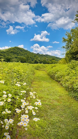 Un sendero cubierto de hierba con flores silvestres, rodeado de vegetación exuberante y colinas bajo un cielo parcialmente nublado.