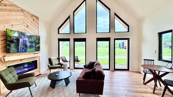 Smart TV, fireplace, books
