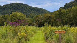 A grassy path leading to a hill with a sign reading 'RIVER TRAIL'.
