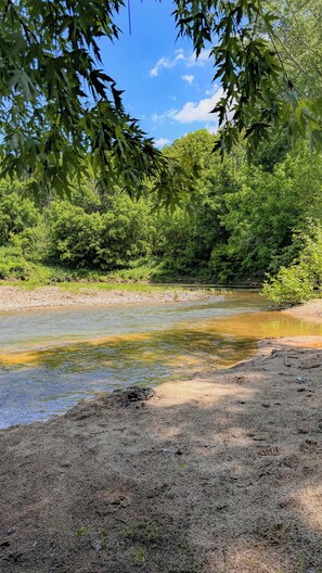 Ufer mit dichter Vegetation und blauem Himmel.