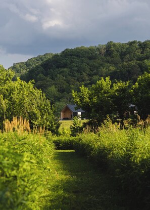 A rural landscape with a wooden barn and a house surrounded by lush greenery and trees. - River's Edge - Sandy BEACH on the Red River, Hot Tub, Mountain VIEWS, RRGorge (Stanton)