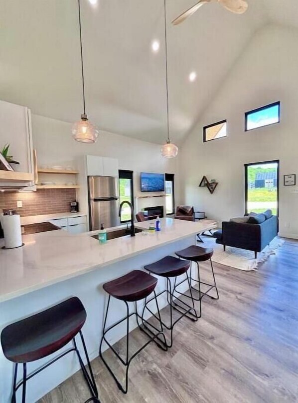 Smart TV, fireplace, books