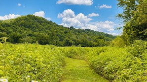 A grassy path with wildflowers, surrounded by dense greenery and hills under a partly cloudy sky. - Trail Tamer - Gorgeous 360 Views, RIVER with sandy BEACH, Hot Tub, RRGorge (Stanton)