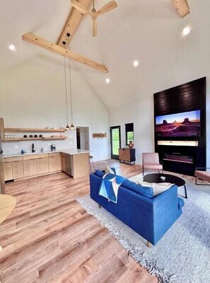Smart TV, chimenea, libros
