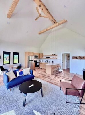 Smart TV, chimenea, libros