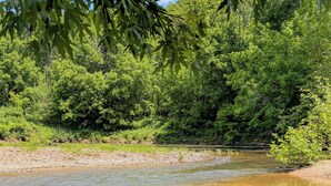 Une rive bordée d’une végétation luxuriante, sous un ciel dégagé.