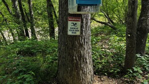Un arbre avec un conteneur bleu et un panneau d’avertissement.