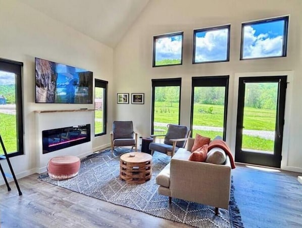 Smart TV, fireplace, books