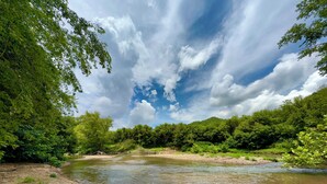 Une rive de rivière avec un rivage sablonneux, une végétation luxuriante et un ciel partiellement nuageux.