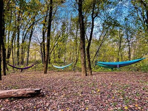 A forest with two hammocks tied between trees. - River Rascal - Scenic views, River with BEACH, Hot Tub, Fire pit, Starry Nights (Stanton)