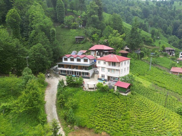 A multi-story building with a red roof, surrounded by lush green tea plantations. - YeşilKöy Pansiyon (Çamlıhemşin)
