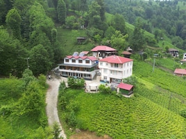 Dış mekân