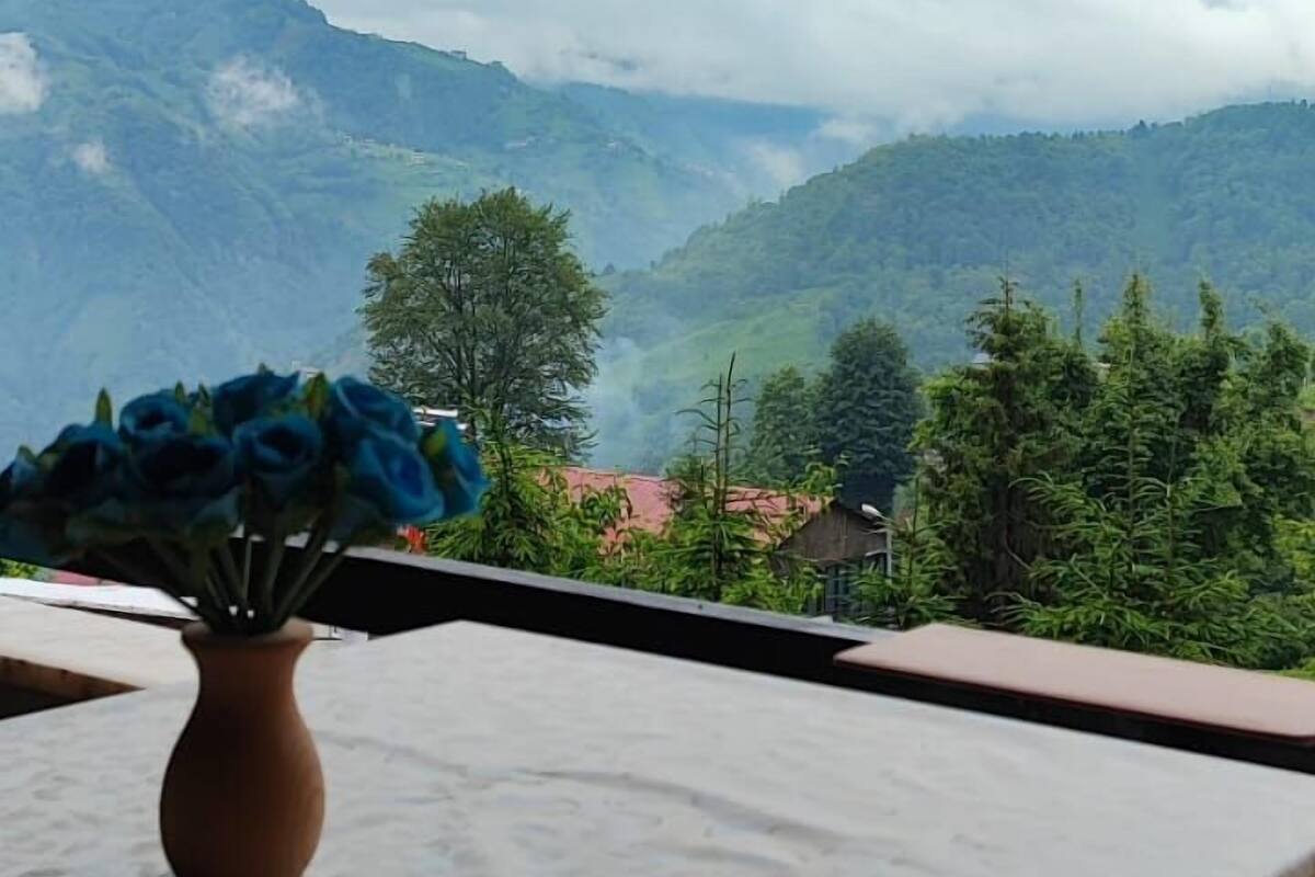 A room with a view of mountains and a vase of blue flowers on a table.