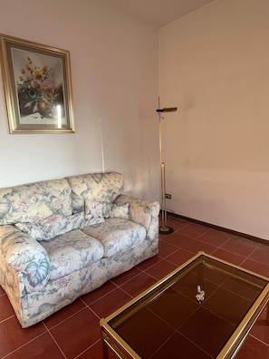 TV connectée, cheminée, livres, chaîne hi-fi