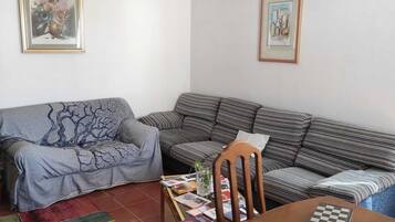 Smart TV, fireplace, books, stereo