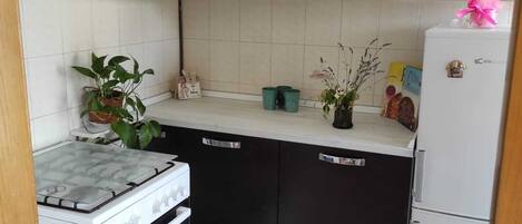 Frigorífic, microones, forn i placa de cuina