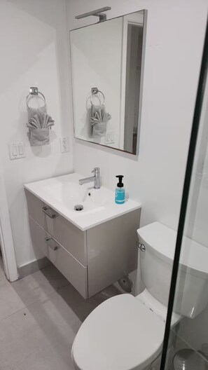 Hair dryer, towels, soap, toilet paper