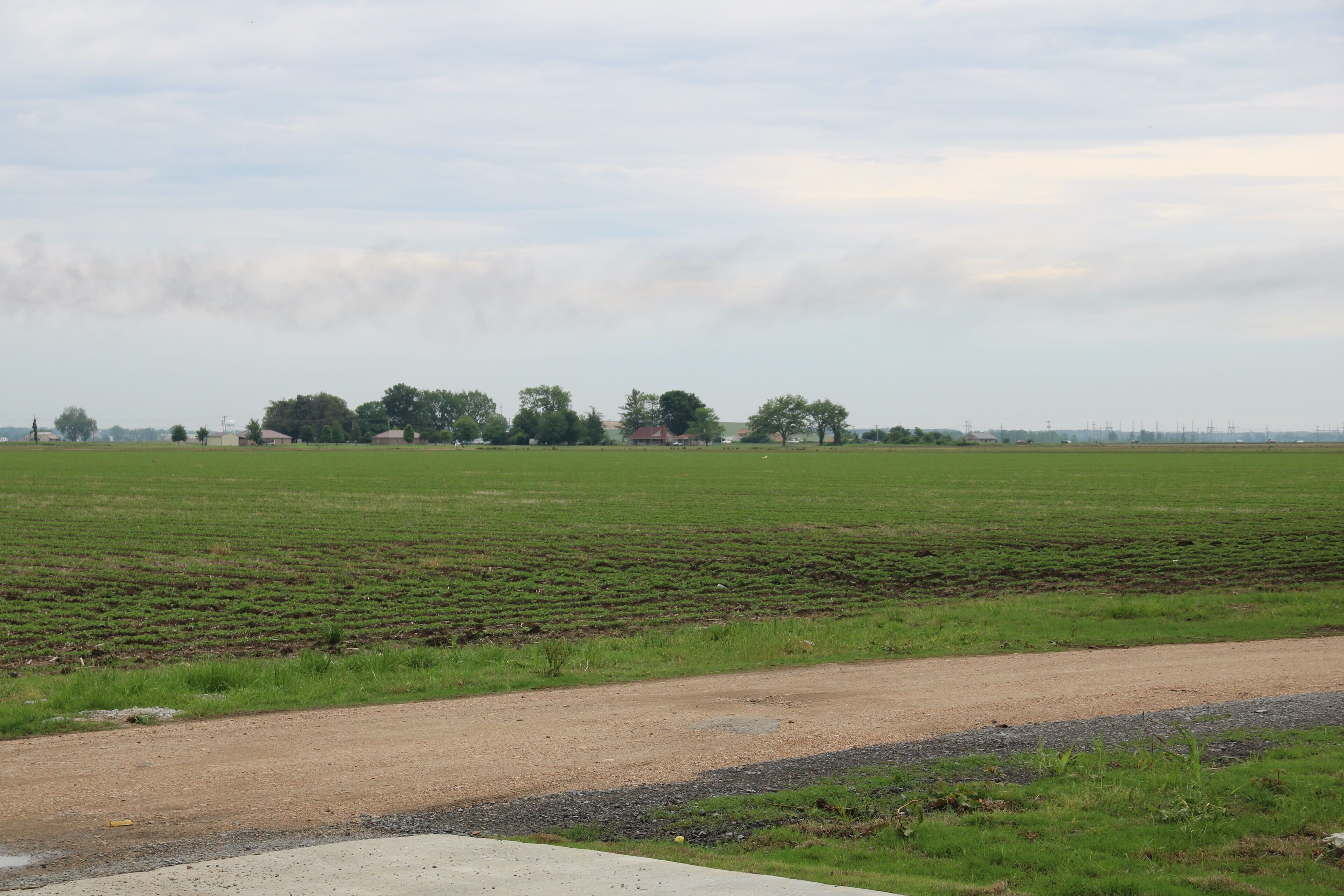 A rural landscape with a dirt road, green fields, and scattered trees.