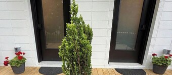 Cozy Cure is a modern farmhouse Alcove studio in downtown Pilot Mountain