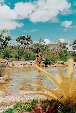 Bungalow | Property grounds