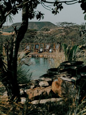 Property grounds - Villa Aruanda (Alto Paraíso de Goiás)