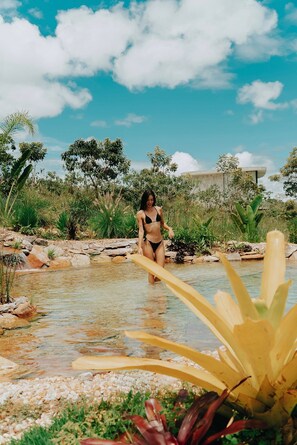 Bungalow | Property grounds