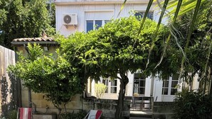 A swimming pool with a grassy area and a tree. - Charming house with swimming pool (Bordeaux)