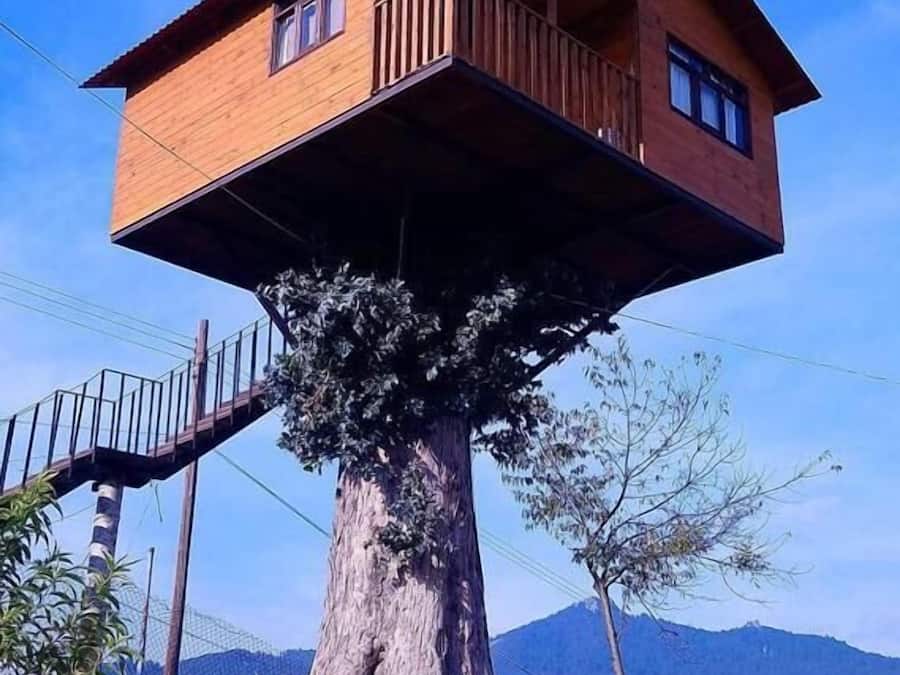 Casa na árvore panorâmico, vista para a montanha | Edredons de pluma, roupa de cama