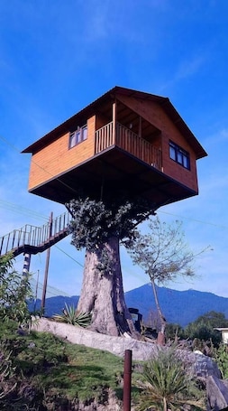 Panoramic Tree House, Mountain View | Down comforters, bed sheets