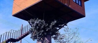 Casita Del Arbol Trini By GEstores