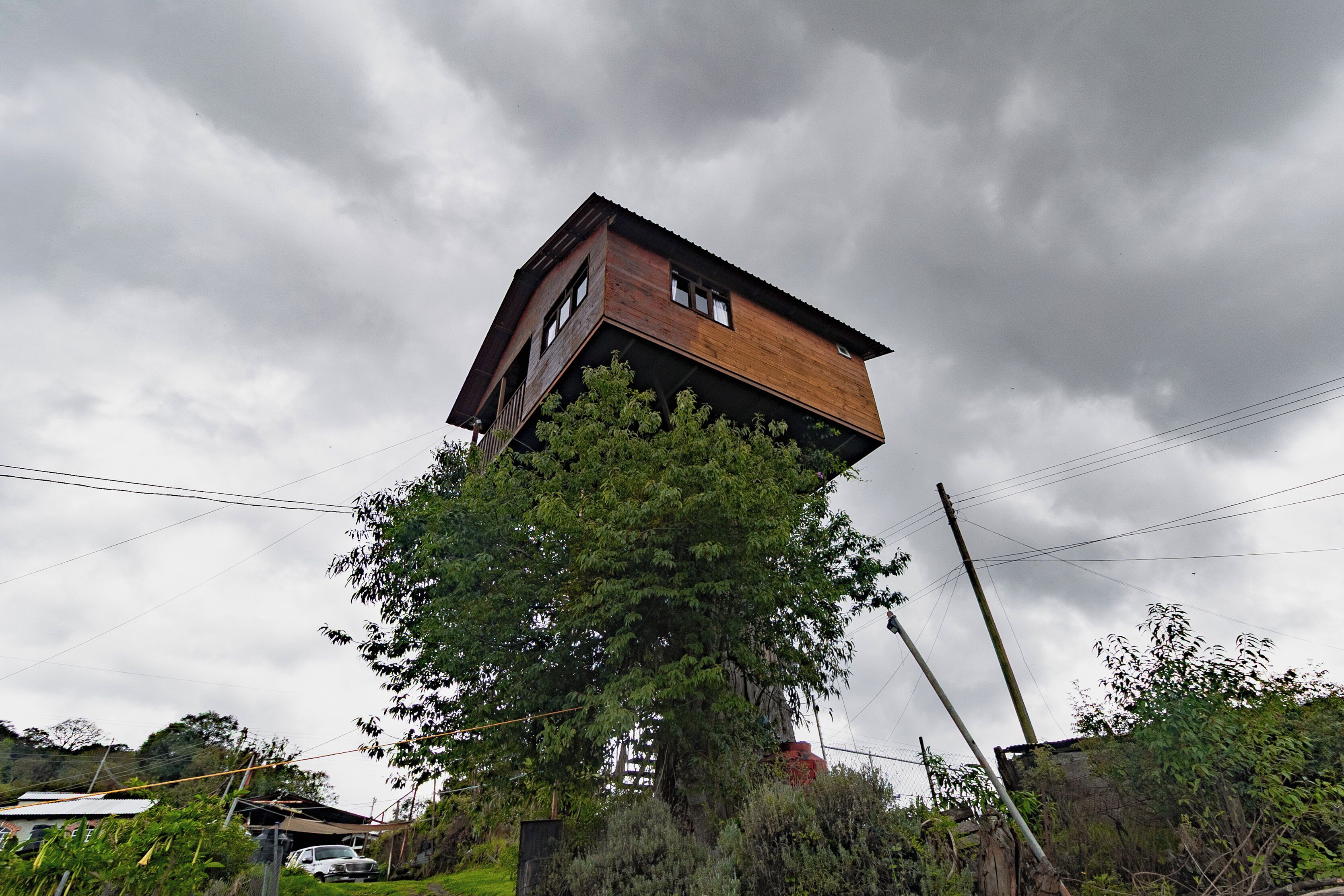 A house with a wooden exterior and a large tree growing from its base.