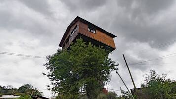 A house with a wooden exterior and a large tree growing from its base.
