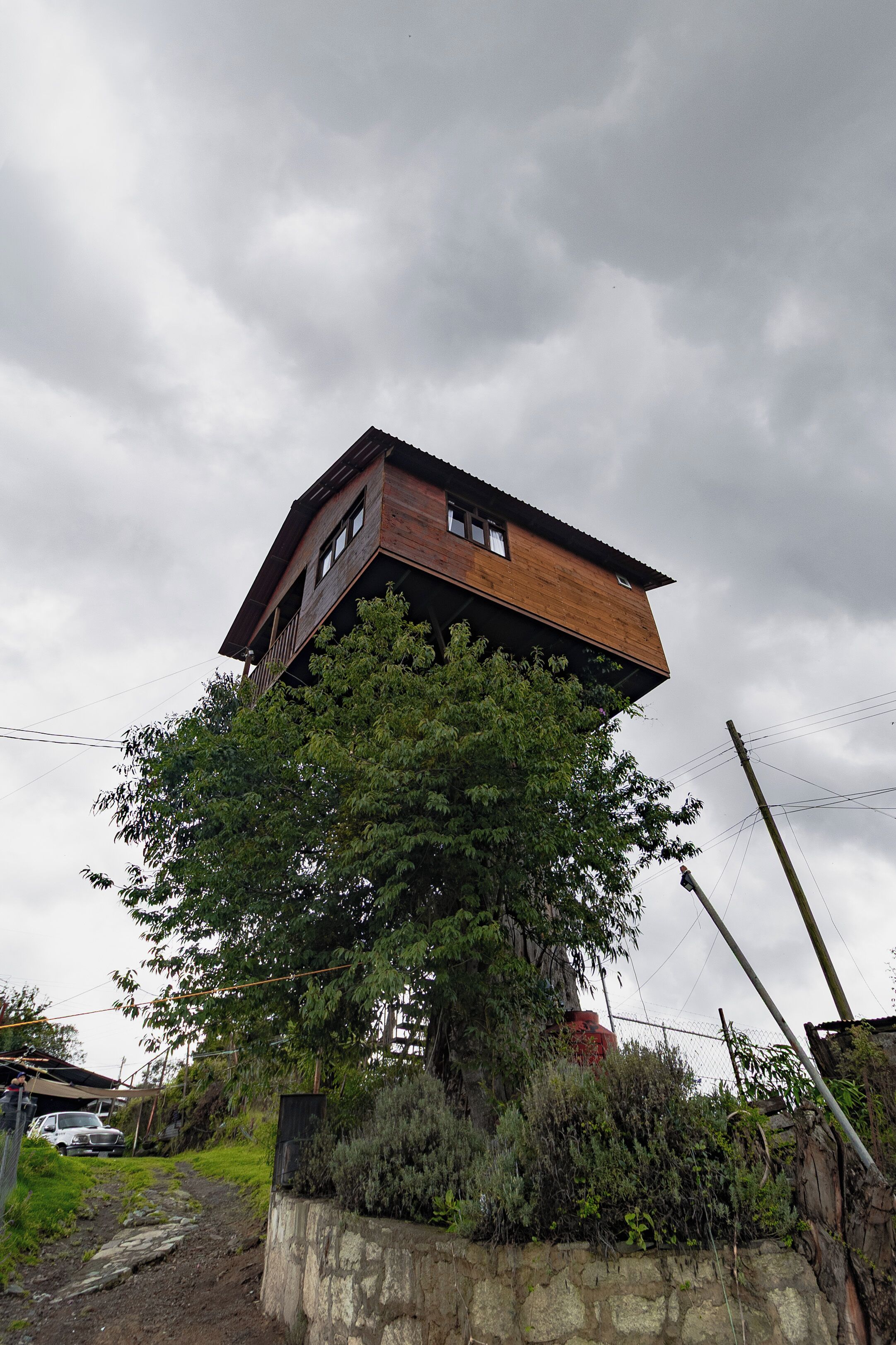 A house built on a tree, with a stone wall and a car parked nearby.