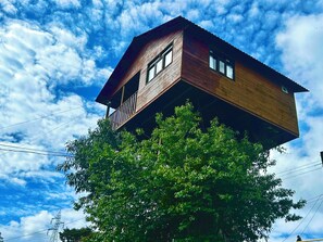 Panoramic Tree House, Mountain View