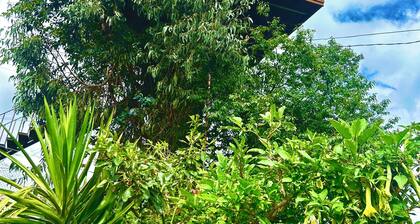 Casita Del Arbol Trini By GEstores