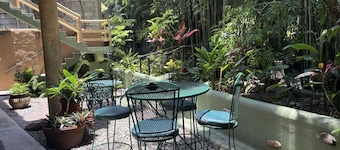 Botanical Studios Sayulita