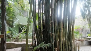 Unclassified image, 2 of 68, button - Botanical Studios Sayulita (Sayulita)