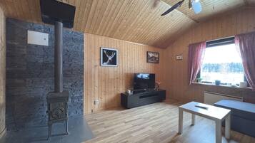 Télévision, cheminée