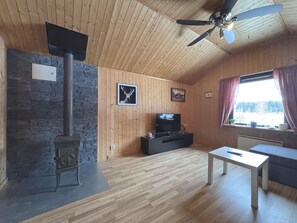 Televisión, chimenea