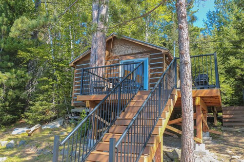 Sweet Little Cabin with a View