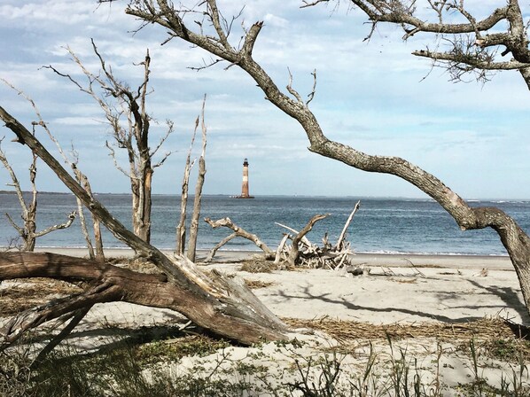 بالقرب من الشاطئ