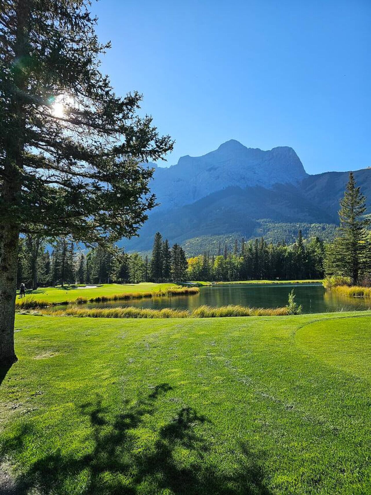 A golf course with a lake, trees, and mountains in the background.
