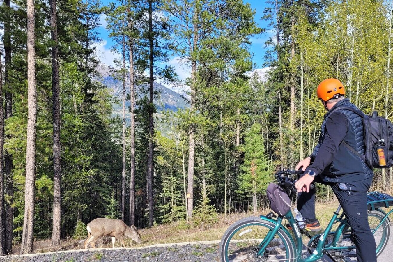 A person on a bicycle with a backpack, a deer grazing near the road, and a forested mountain backdrop.